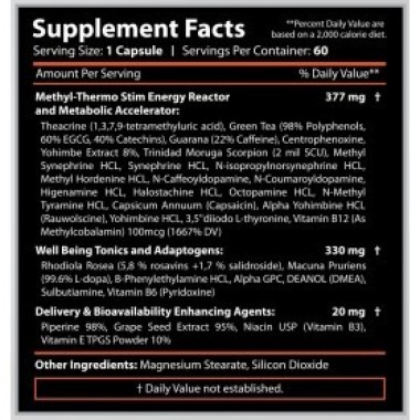 Revange Nutrition - THERMAL PRO V5 120 kapsul Revange Nutrition